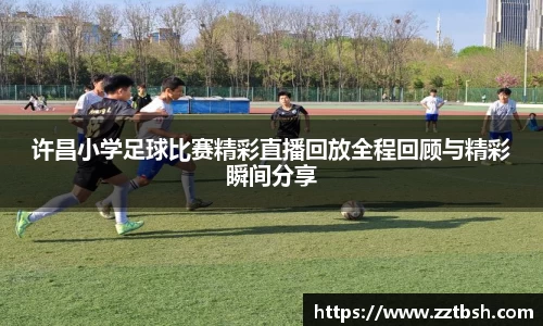 龙珠体育直播在线观看