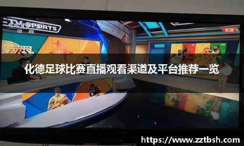 龙珠体育直播
