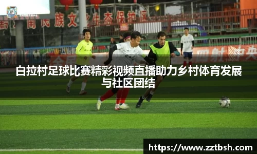 龙珠体育