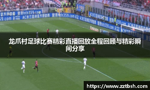 龙珠体育