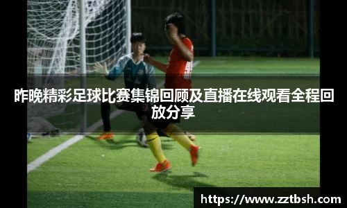 龙珠体育直播