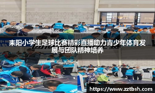 龙珠体育直播在线观看