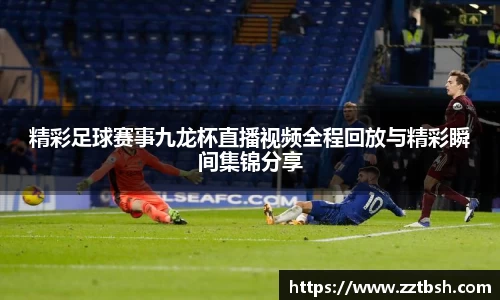 龙珠体育