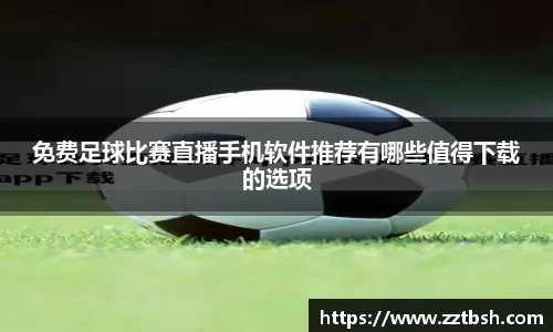 龙珠体育