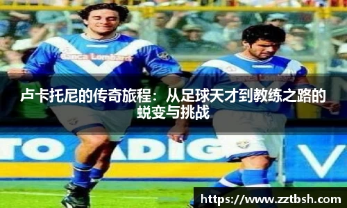 龙珠体育直播在线观看