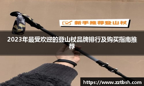 龙珠足球直播