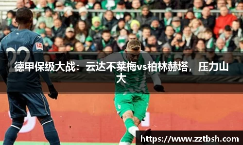 龙珠体育