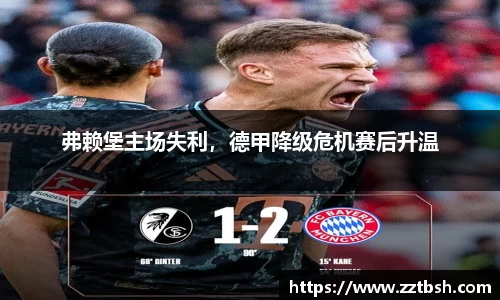 龙珠体育直播