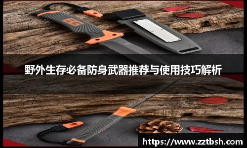 龙珠体育
