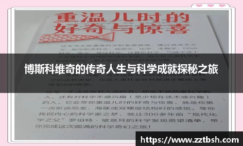 龙珠体育直播