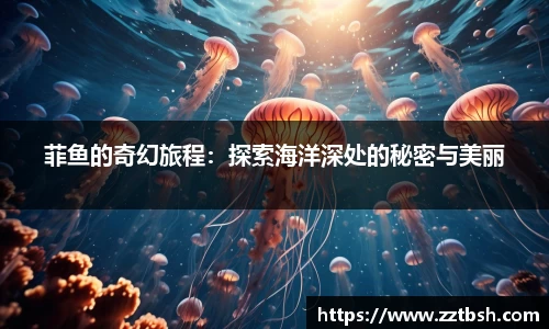 龙珠足球直播