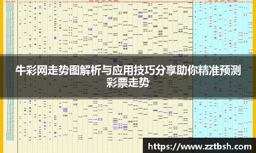 龙珠体育