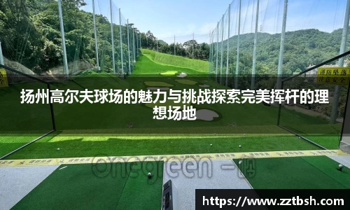 龙珠体育直播
