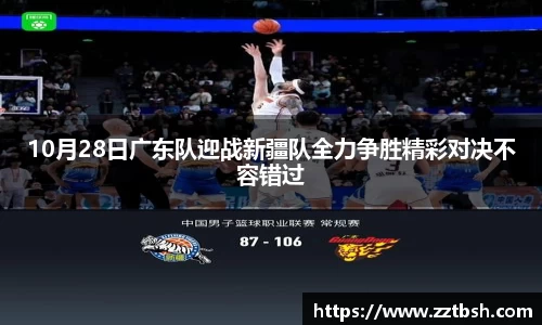 龙珠体育