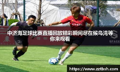 龙珠体育